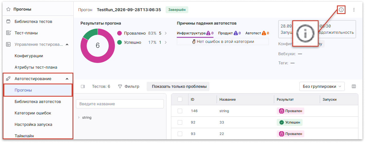 Информация о прогоне в Test IT